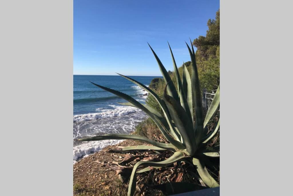 Appartement La petite Pinède à Sanary-sur-Mer Extérieur photo
